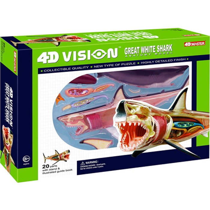DM-ANATOMY 4D SHARK