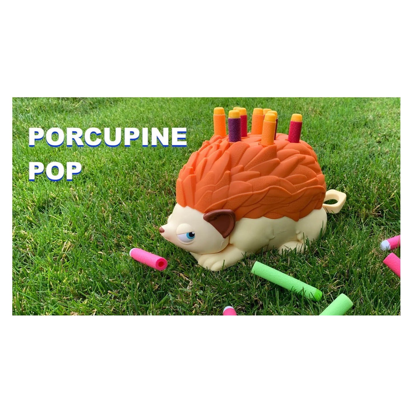 PORCUPINE POP