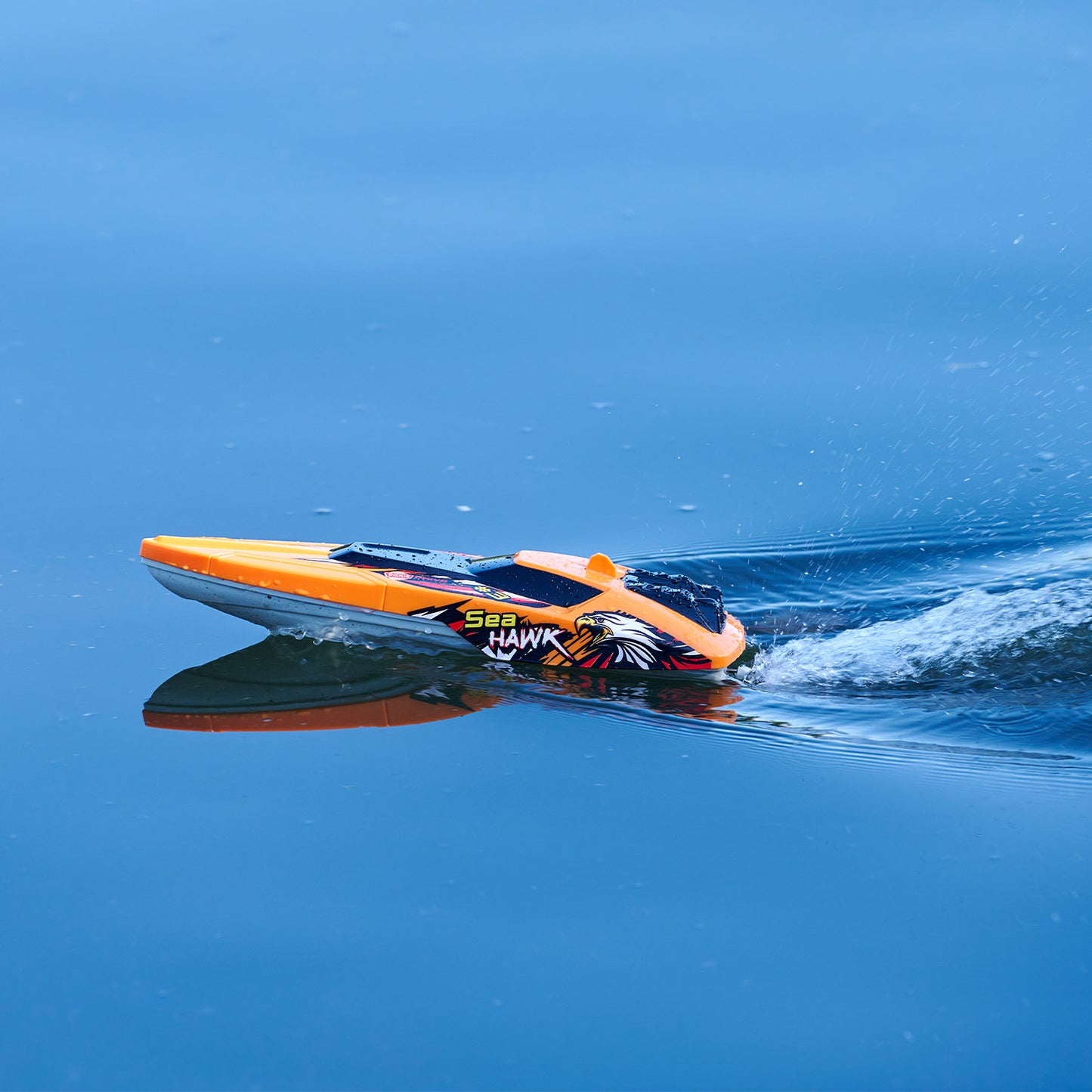 RC Sea Hawk, RTR