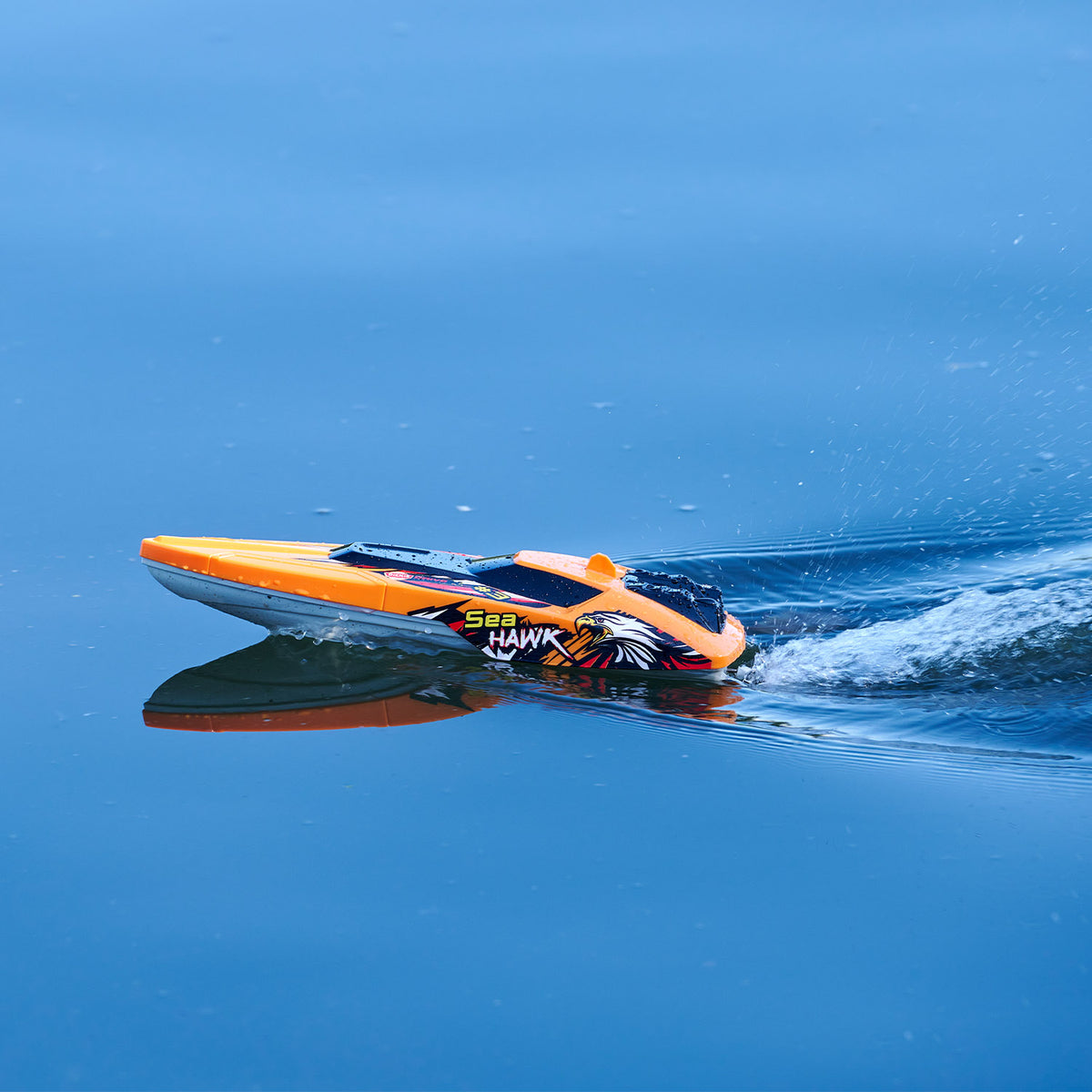 RC Sea Hawk, RTR