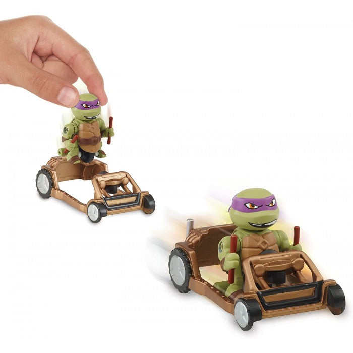 Turtles offer1