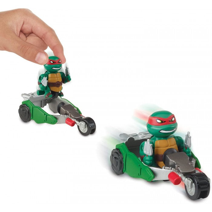 Turtles offer1