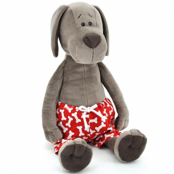 COOKIE THE DOG IN PANTS