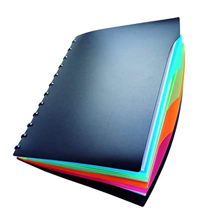 DURABLE DURALOOK STYLE DISPLAY BOOK WITH 4 PART INDEX 2435