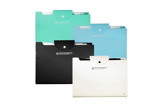 12 POCKET DOCUMENT FILE ZY-0420