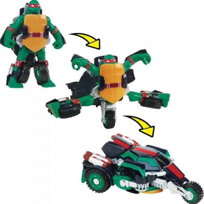 Turtles offer1