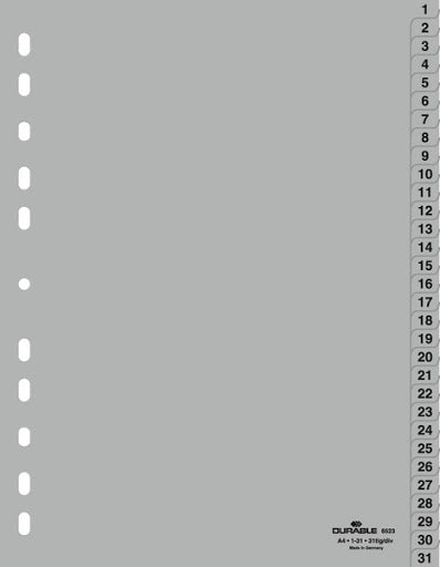 DURABLE DIVIDER INDEXES WITH PRINTED 1-31 TABS 6523